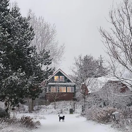 Lejlighed Haus Seeschwalbe - 07 Spiekeroog
