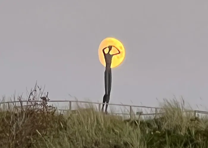 Haus Seeschwalbe - 07 Apartment Spiekeroog