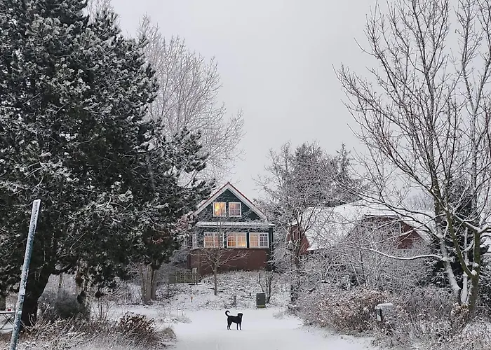 Apartment Haus Seeschwalbe - 07 Spiekeroog